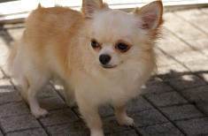 IMGP0582.jpg