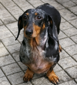IMGP5180.jpg