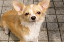 IMGP5055.jpg