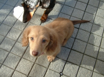 DSCF0011.jpg